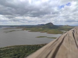 Flora del Cerro Masatrigo